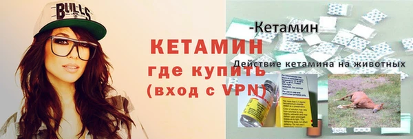дживик Арсеньев