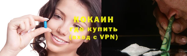 дживик Арсеньев
